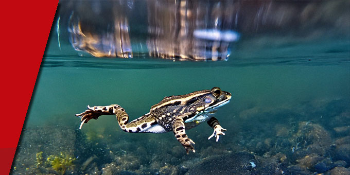 Limitations provisoires de certains usages de l’eau
