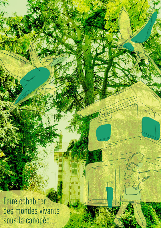 Vivre et habiter sous les arbres